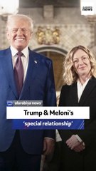 Journalist: Trump & Meloni Melon Melons Add to Dictionary ’s special relationship