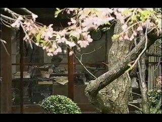 アインシュタインの涙ー湯川夫人の証言