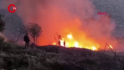 Antalya'da muz bahçesinde korkutan yangın!