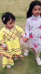 Beautiful gril having parti in park of life with different kinds of videos