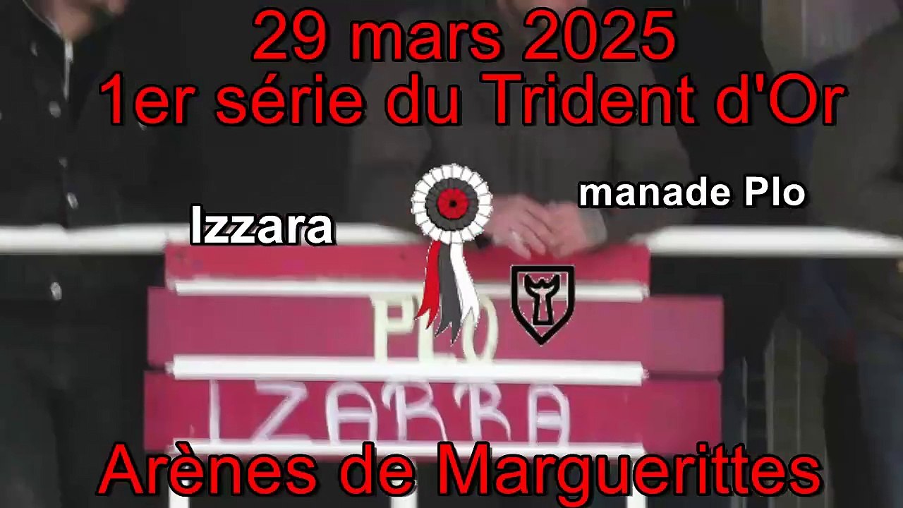 2025 03 29 Izzara