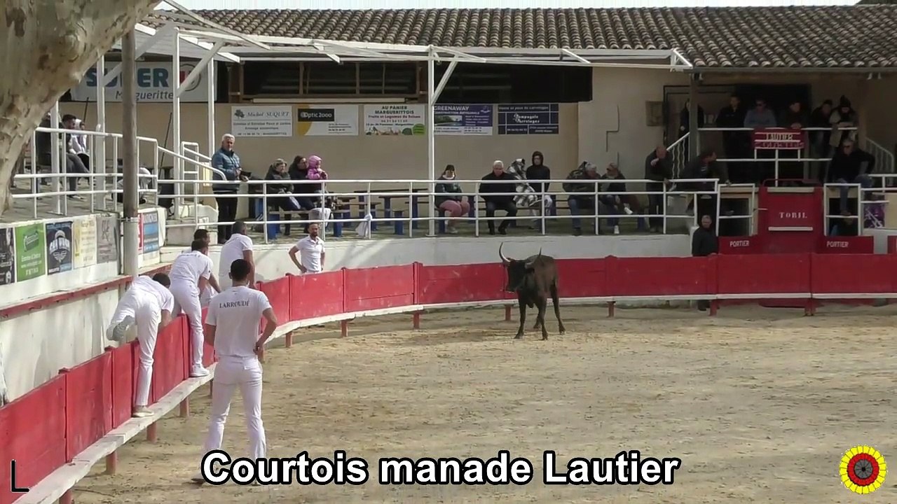 2025 03 29 Courtois