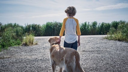 Dans les hautes herbes