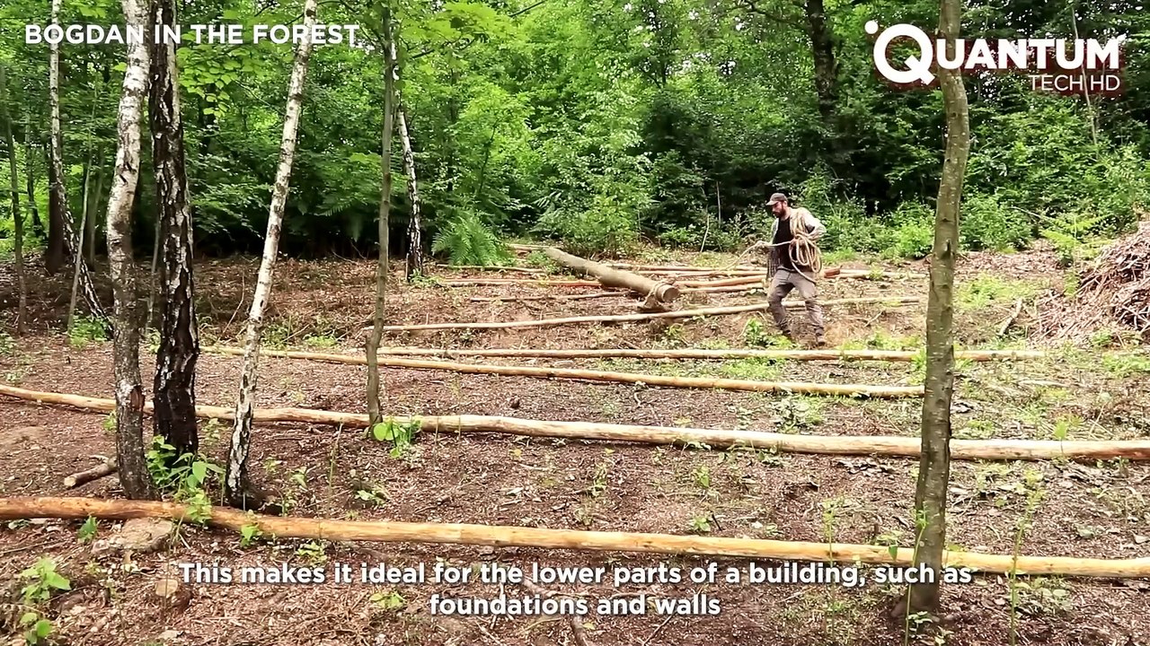 Man Builds CABIN with STONES and LOGS in the Forest _ by @bogdanintheforest4382 ​