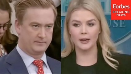 Peter Doocy Asks Karoline Leavitt If It's Legal To Deport U.S. Citizens To El Salvador Prisons