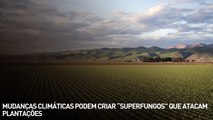 Mudanças climáticas podem criar 