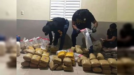 DNCD decomisa 297 libras de marihuana