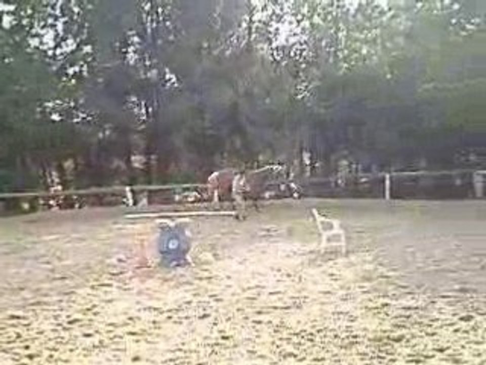 07 05 08 020