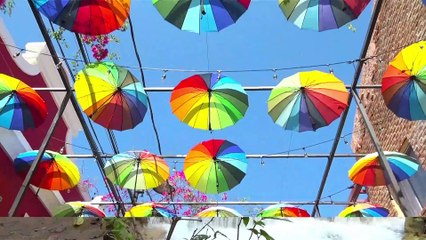 Semana Santa Telenord 2025: Información y Prevención