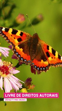 ✅💘Música bonita e relaxante para alívio da tensão- Música de meditação, música para dormir- Frag.#58