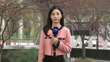 [날씨] 맑고 쾌청한 봄, 낮부터 기온 '쑥'..."일교차 15∼20도" / YTN