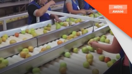 Mexico mahu runding semula eksport tomato ke AS