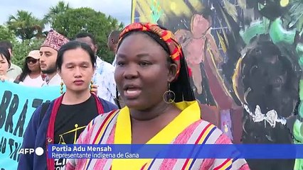 Em Brasília, indígenas protestam pedindo 'transição energética justa'