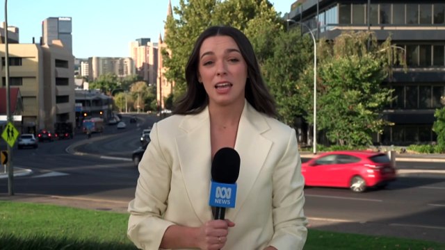 Mobile phone detection camera fines declining but 200 drivers still being nabbed each day