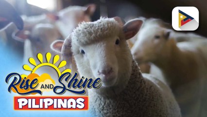 Katangian ng Tupa na inihalintulad sa tao ayon sa Bibliya