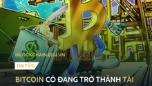 Bitcoin có đang trở thành tài sản trú ẩn mới trong thời kỳ chiến tranh thương mại? iblockchain.edu.vn