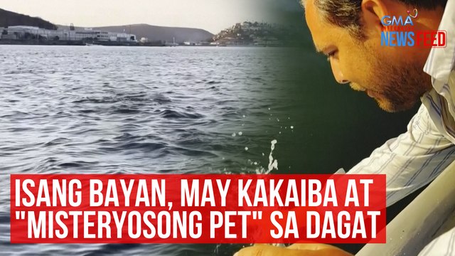 Isang bayan, may kakaiba at misteryosong pet sa dagat | GMA Integrated Newsfeed