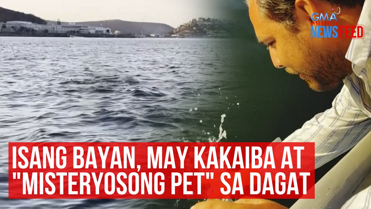 Isang bayan, may kakaiba at "misteryosong pet" sa dagat | GMA Integrated Newsfeed