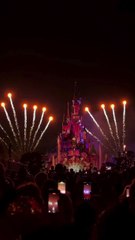 Η Σίσσυ Χρηστίδου στην Disneyland με τους γιους της