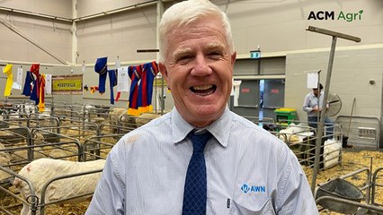 What Merino judges look for in the production class at Sydney Royal 2025