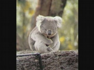 Interwiew à l'occasion de La jalousie est un vilain défaut