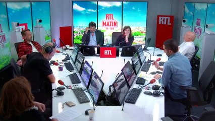 CHENILLES PROCÉSSIONNAIRES - Pourquoi elles prolifèrent
