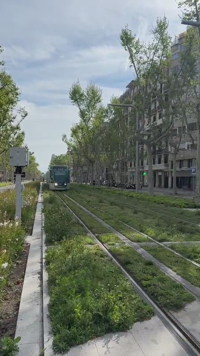 El paisaje urbanístico de Barcelona que parece de otro siglo y que todas las ciudades envidian