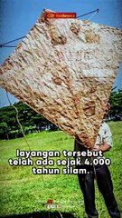 Layangan Purba Berusia Ribuan Tahun Ternyata Ada di Sulawesi Tenggara