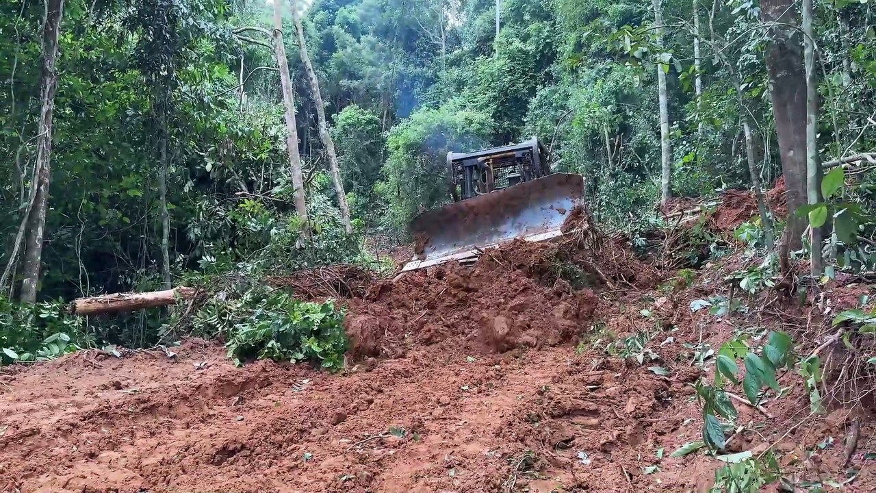 The Greatness of the D6R XL Bulldozer Smooths the Way Quickly