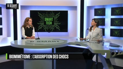 SMART TECH - Absorber les chocs, une leçon venue du pamplemousse