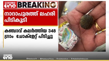 കോഴിക്കോട് നാദാപുരത്ത് കഞ്ചാവ് കലർത്തിയ ചോക്ളേറ്റുമായി ഡൽഹി സ്വദേശി പിടിയിൽ