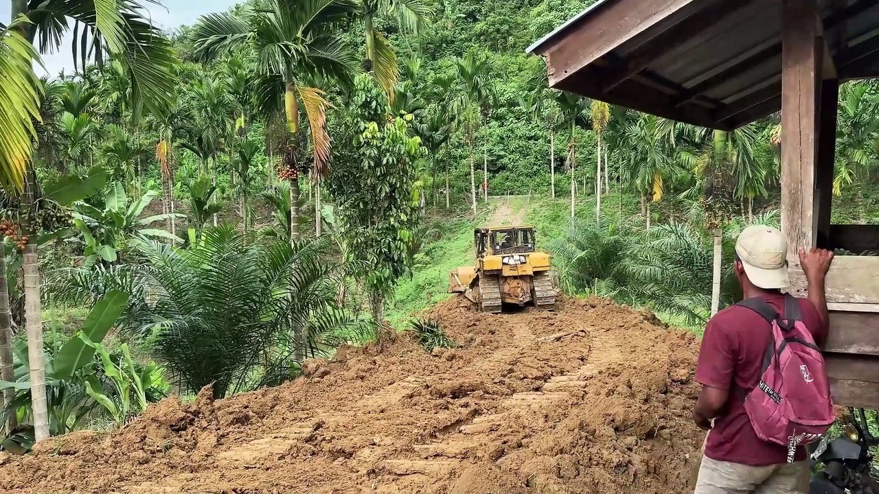 Efficiency of D6R XL Bulldozer in Plantation Road Repair