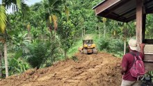 Efficiency of D6R XL Bulldozer in Plantation Road Repair