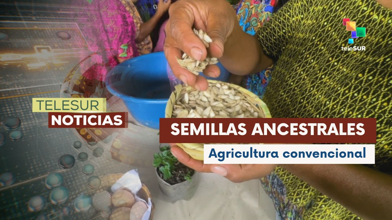 Campesinas de Guatemala intercambiaron semillas ancestrales