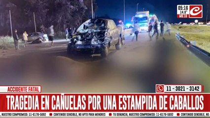 Perdió la vida tras chocar contra varios caballos en la ruta