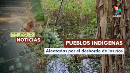 Pueblos indígenas de Bolivia han perdido sus sembradíos de alimentos por inundaciones