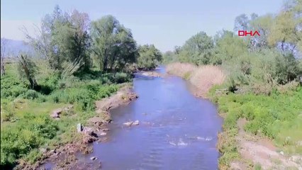 Gediz Nehri'nde bitmeyen kirlilik
