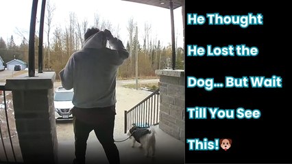 Boy takes dog for a walk but completely forgets to check on him