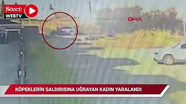 Köpeklerin saldırısına uğrayan kadın yaralandı