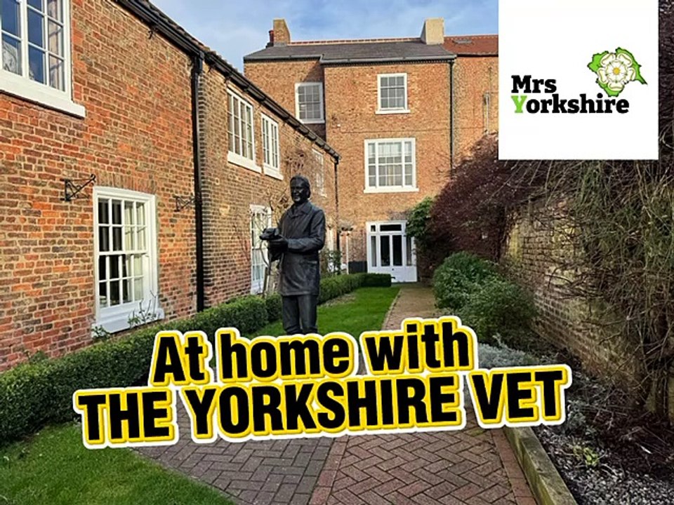 The Yorkshire Vet Peter Wright: I never wanted to be on TV and now I want to give Jeremy Clarkson a run for his money