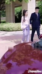 CEO Lu Turns Her Into A Delicate Darling