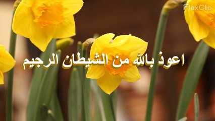 Full Surah An-Nās /surah an nas/ The voice of quran