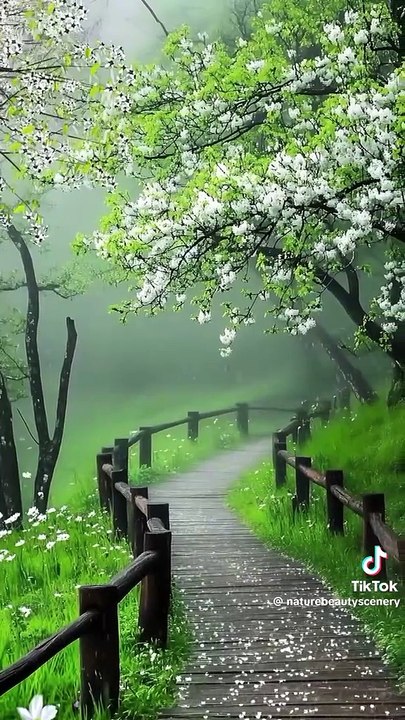 Romantic life
