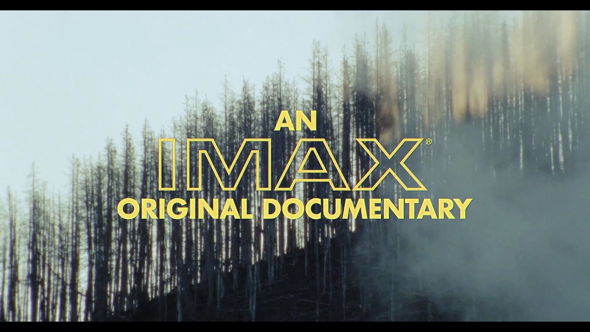 Lost Wolves of Yellowstone Documentary Movie