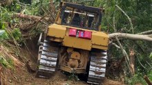 Transforming Sloped Land into Palm Terraces with the D6R XL Bulldozer