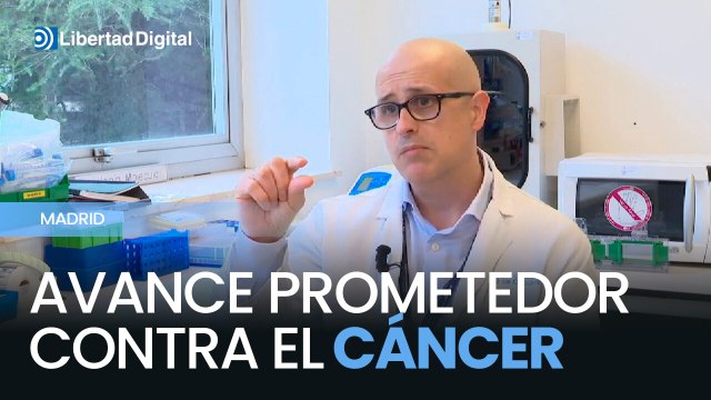 Un nuevo estudio descubre una proteína clave que frena la metástasis