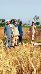 Entatanment Vedio Channel for kids Enjoy .