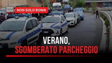Roma, sgomberata area a ridosso del cimitero Verano
