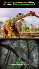 Pterossauros Não Eram Dinossauros