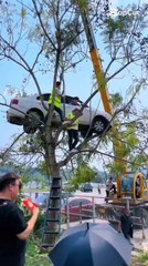 Article writng.Ad posting